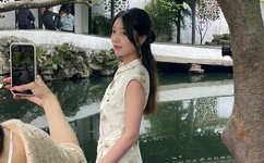 不用播放器的h网